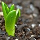 How to grow your potential for success How to grow your potential for success